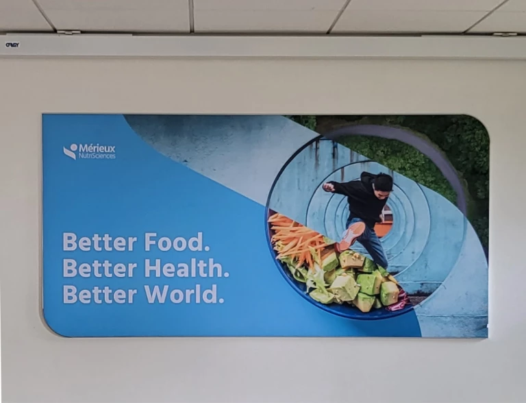 Tableaux acoustiques imprimés sur toile avec mousse absorbante